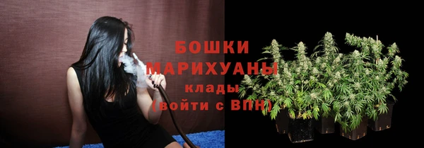 крисы Богородск