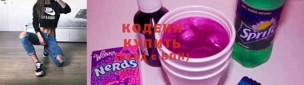 стаф Богданович