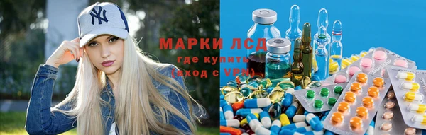 стаф Богданович