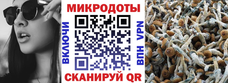 купить наркотик Верхотурье Псилоцибиновые грибы GOLDEN TEACHER